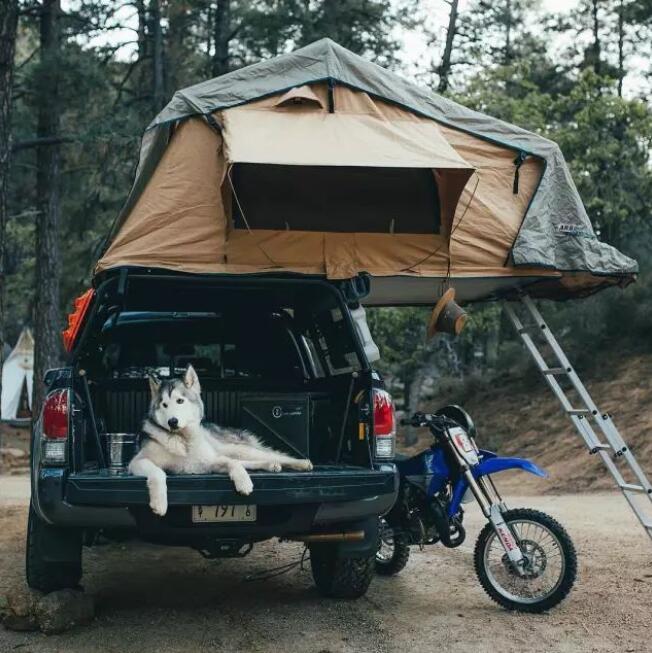 What is it like to live in a car roof tent on a self-drive trip?cid=3